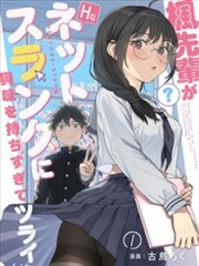 洪角色形象展示
